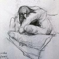 13. Sketch of a Patagonian Sierra Finch by Rachel Black.