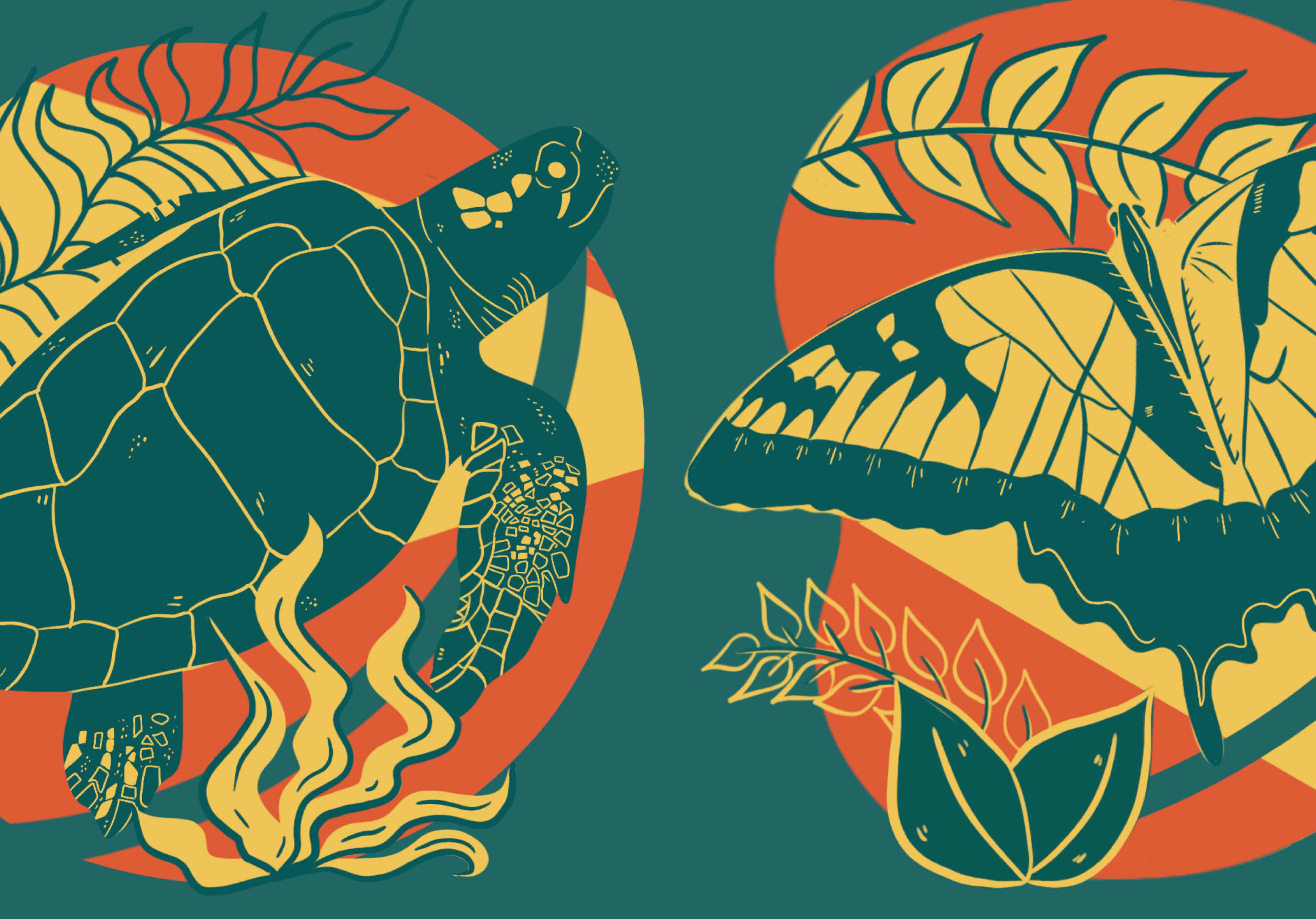 Two illustrations of a turtle and a butterfly going off the page. Bold graphic illustration using green, orange, and yellow. 