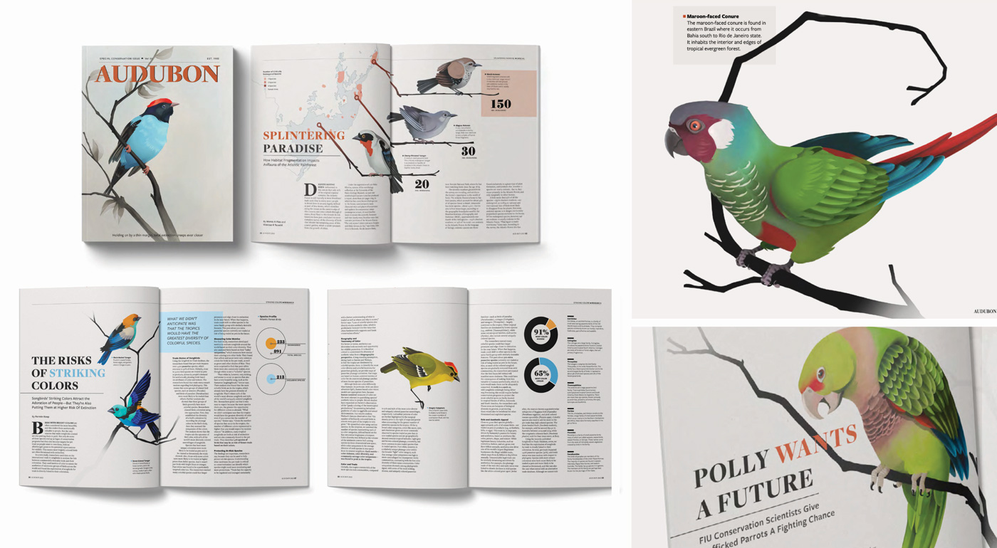 Spreads of magazine spread with illustrations of exotic birds.