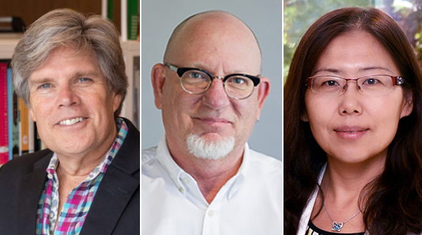 Michael Gibson, left, Keith Owens, Xin Wang portraits