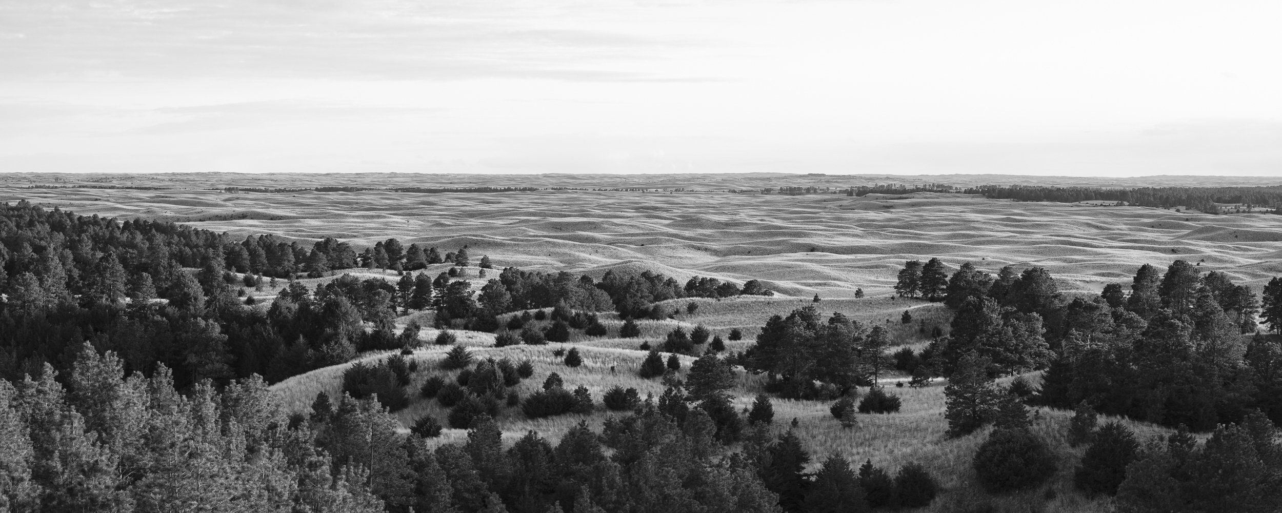 Wide-angle view of a hilly, wooded landscape in black and white.