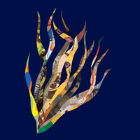 Seaweed shaped illustration with details of oil paintings in the leaves on a dark blue background