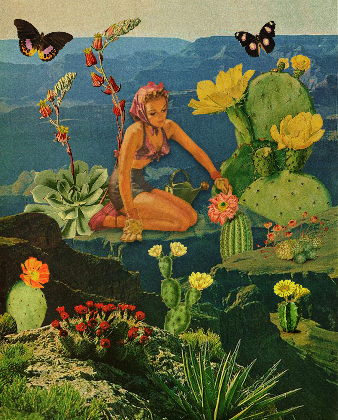 Girl gardening flowering cactus with butterflies