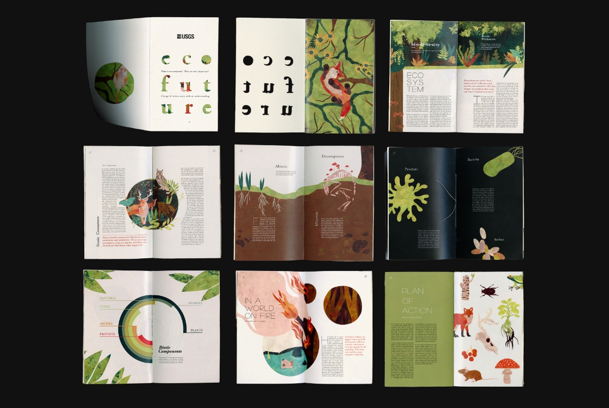 Illustrative publication booklet layout of spreads featuring illustrations of wildlife, plants, bacteria, and an informtational graph all surrounded by text.