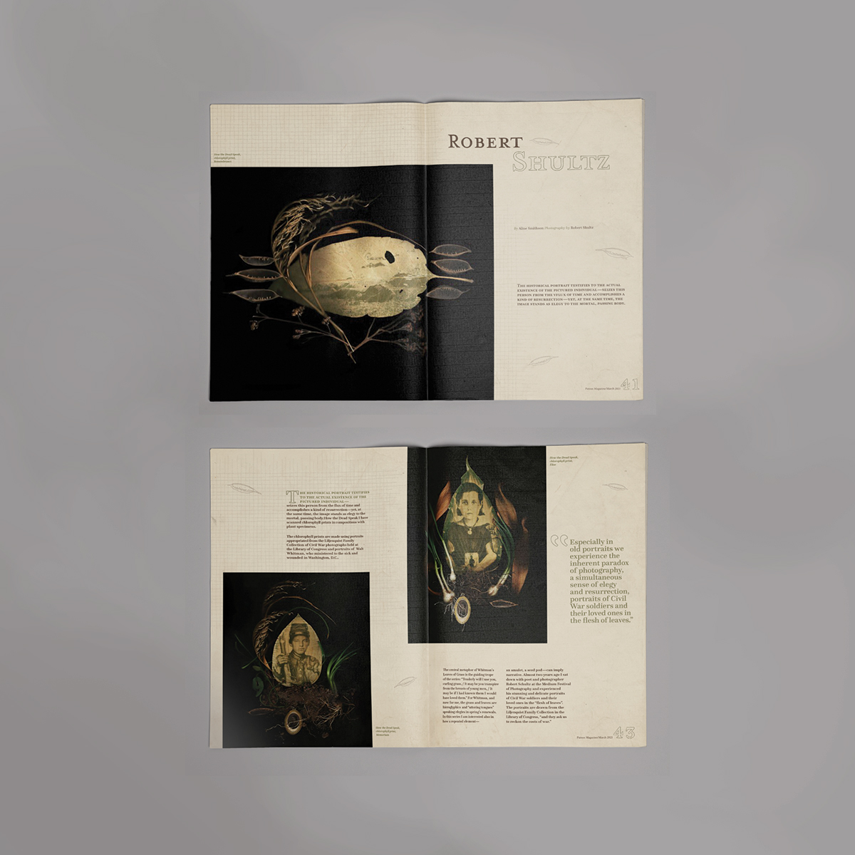 These spreads feature an earthy color palette of muted tones, and display photos of chlorophyll prints on leaves surrounded by various brush and twigs. There is a pencil-drawn grid with a few drawn nut shells in addition to the copy and photography.