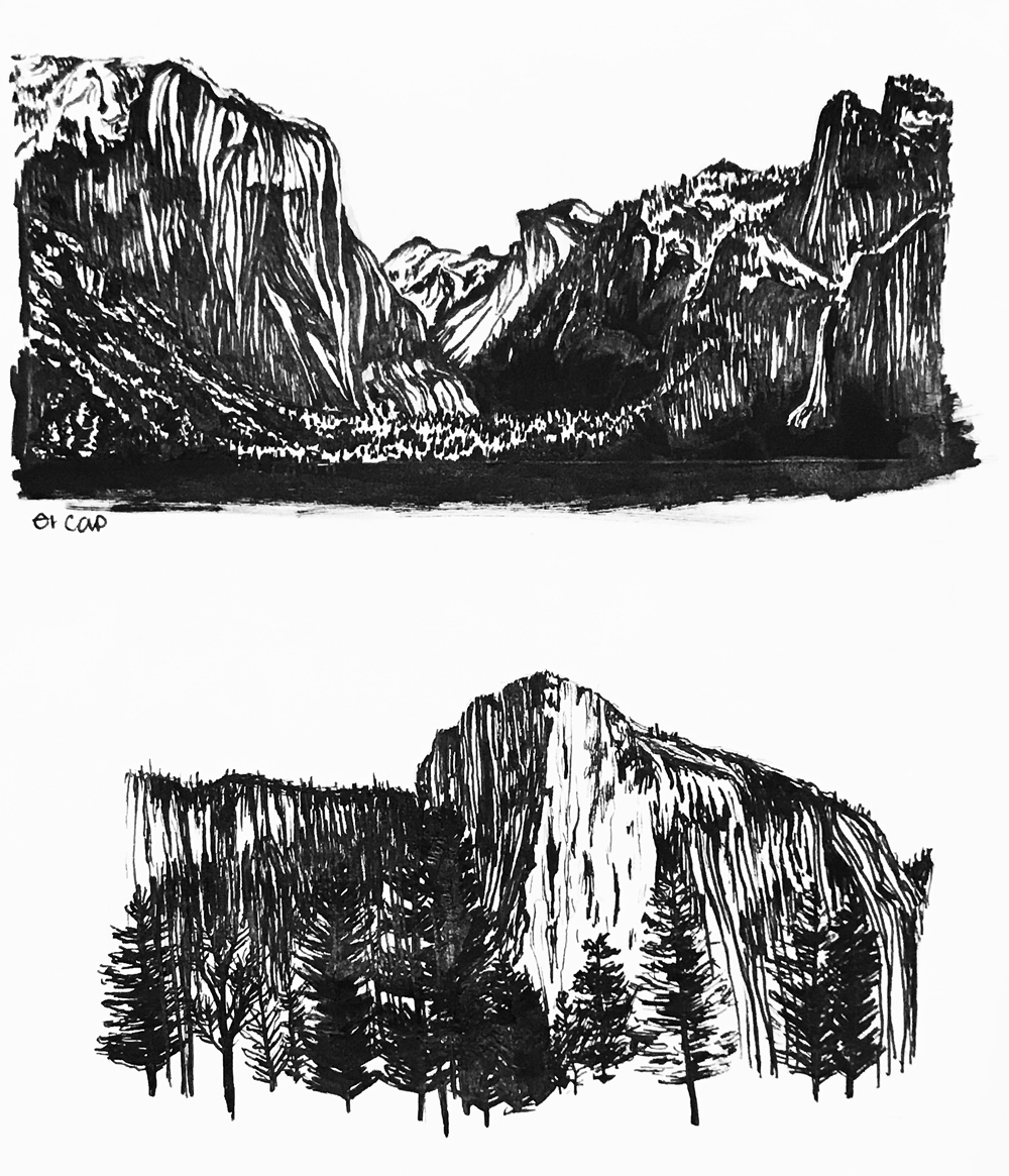 Pen and ink landscape illustration 
