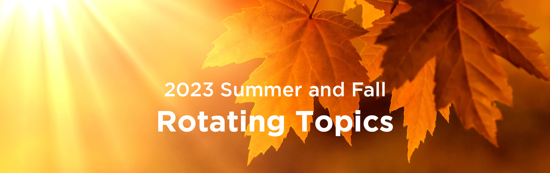 2023 Summer and Fall Rotating Topics, banner of bright sun and fall leaves