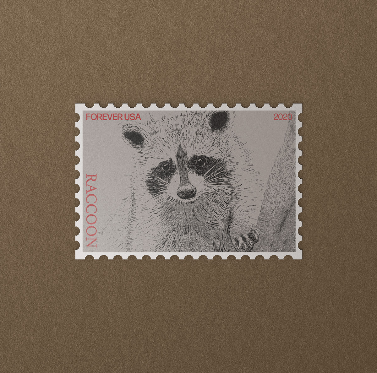 This is an engraving illustration of a raccoon thats finished in black and white. On top of the illustration is red typography that indicates it's a stamp.